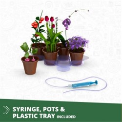 Конструктор Engino STEM Discovering - Ботаническа лаборатория - 6611020204 - изглед 11
                  