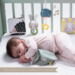 Комплект за новородено Taf Toys - Време е за сън, 12 части - TT13265 - изглед 5
                  