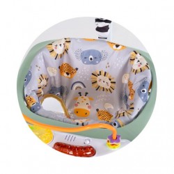 Детски активен център Chipolino Jumpy Car мента - PRJC02602MI - изглед 4
                  